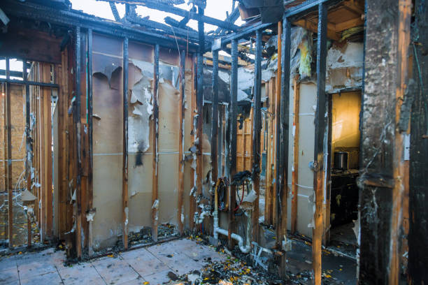 Professional Structural Rebuild technician working in Bloomington, MN